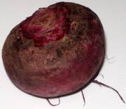 beetroot picture