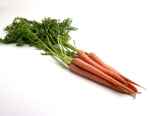 carrot picture