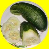 cucumber picture