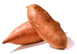 sweet potato picture